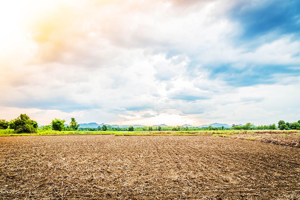 El cambio climático está aquí: ¡Actúa ahora!