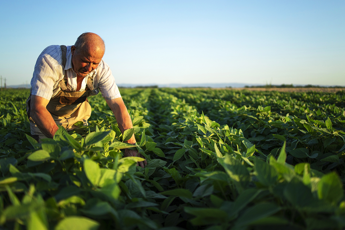 Descubre cómo la Agricultura Inteligente está revolucionando el sector agrícola